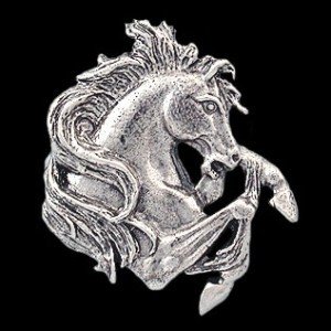 rover4fun's profile picture. 