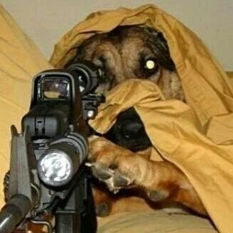 Freefor23519655's profile picture. hello and good bye