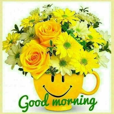 BBurrello's profile picture. 