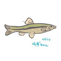 あくあぴあ芥川 (@aquapia_akutaga) 's Twitter Profile Photo あくあぴあ芥川 (@aquapia_akutaga) 's Twitter Profile Photo