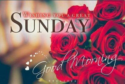 NagaRaj35205278's profile picture. 