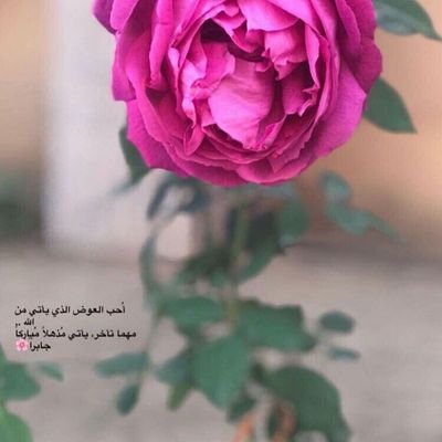اذاي اقول بحبك وانتا ساكن بين جفوني وكل متوحشني يادوب اغمض عيوني