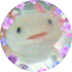 たこのプロフィール写真