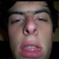 Rollipollipotamus (@rollippotamus) 's Twitter Profile