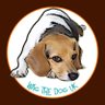 wagthedoguk's profile picture. NYC residential realtor at Corcoran. Dog lover & founder of https://t.co/4bPLcKbiAO #realestate #realtor #doglover
