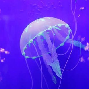 QKC5NgOuGtb0BTe's profile picture. 