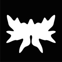 L'Eco del Nulla (@ecodelnulla) 's Twitter Profile Photo L'Eco del Nulla (@ecodelnulla) 's Twitter Profile Photo