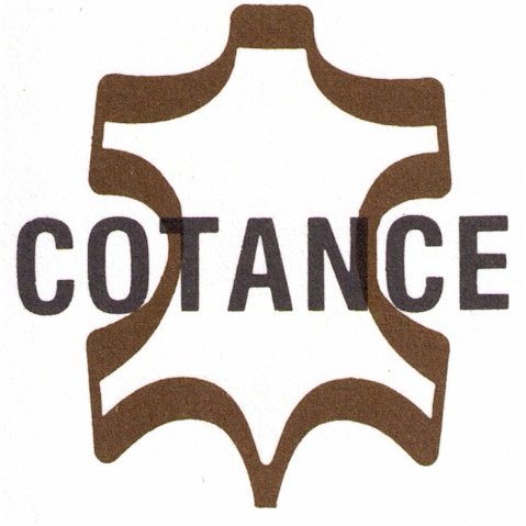 COTANCE_ Profile Picture