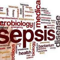 Sepsis (@sepsisresearch) 's Twitter Profile