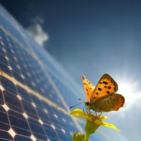 Moregreen Capital (@moregreencapit1) 's Twitter Profile