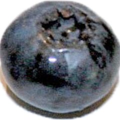 Blueberry__Lane's profile picture. 