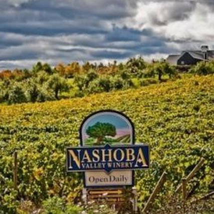 Located in the heart of Massachusetts’ apple country, Nashoba Valley Winery is a stunning hilltop orchard and winery overlooking the charming town of Bolton.