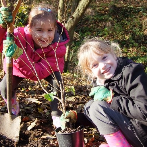 Bringing Sherwood Forest to the doorsteps of #Nottinghamshire folk one #tree at a time