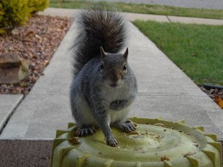 Way2freaky's profile picture. Lurking. No posts or retweets, just lurking, liking, and bookmarking. Independent.