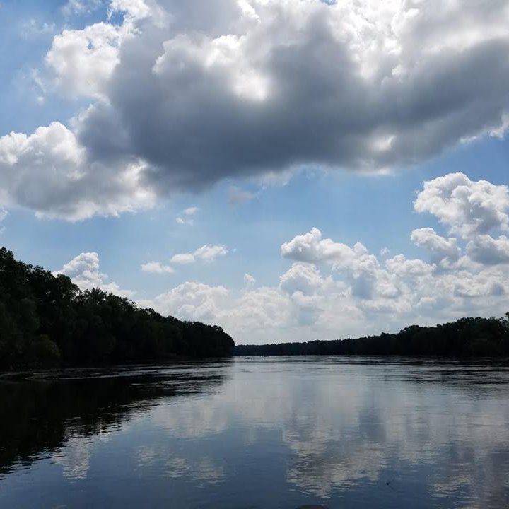 Fighting for Virginia's environment & listening to Yes.
#NoMVP #NoMVPSouthgate #NoVRP
Virginia Field Coordinator at https://t.co/lXT7IuHELX

(opinions are my own)