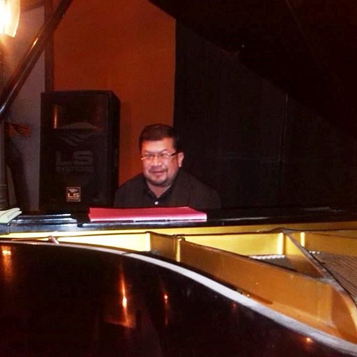 Pianista y compositor, catedrático  de la escuela superior de arte de la Universidad de San Carlos y asesor artistico del Conservatorio Nacional de música