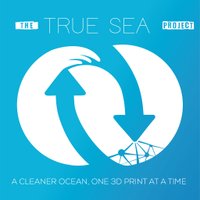 TRUE SEA project (@trueseaproj) 's Twitter Profile