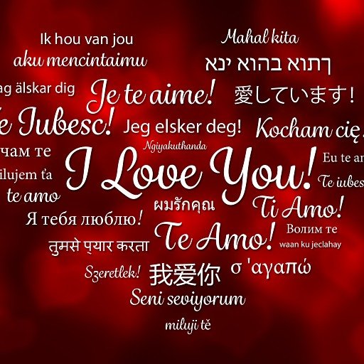 feyzokaratosun1's profile picture. 