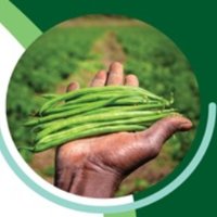 USAID Hinga Weze Rwanda (@usaidhingaweze) 's Twitter Profile