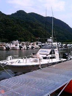 umitakamaru's profile picture. 好きな釣りはルアー（ジギング・ロックフィッシュ・エギング）
海鷹丸は城崎温泉マリーナから但馬の海を狙います！