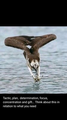 Sayantist3's profile picture. Science. I love science. Don't take it "too" seriously.. Then you'll have me.. 'Sayantist'