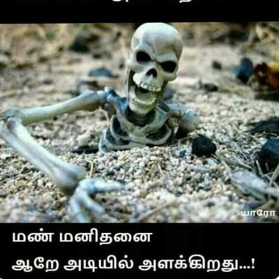 ragupathidev26's profile picture. 