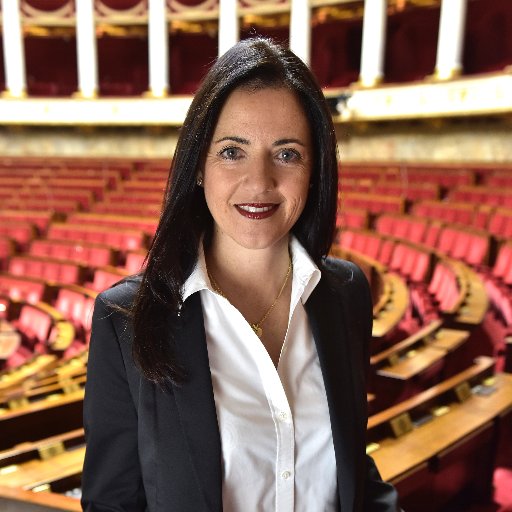 Députée de l'Aube | Vice Présidente LR | Secrétaire Departementale LR10 | Conseillère municipale @villedeTROYES | Conseillère communautaire #TCM