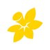 The Daffodil Centre (@daffodilcentre) Twitter profile photo The Daffodil Centre (@daffodilcentre) Twitter profile photo