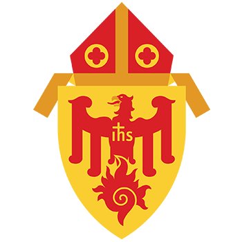 Young Adult Ministry | Archdiocese of Chicago | Outreach to Catholic young adults ages 18-39, single, married, and discerning