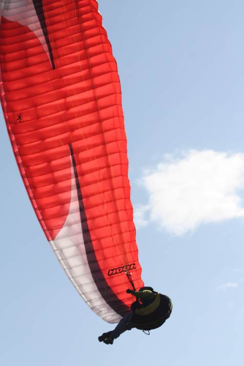 randerson321's profile picture. 