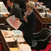 Rep. Marcia Morey(@marciahmorey) 's Twitter Profile Photo