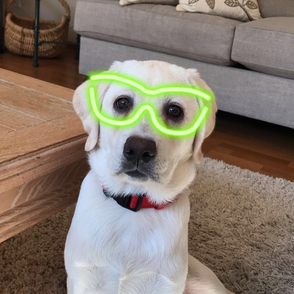 annbeth22845's profile picture. #TheStorm #MAGA 🇺🇸🦅