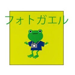 東京で路上から見える富士山を探して撮影しております。ときどき歩道橋の上や路上と繋がってる建物や隙間から見える富士山もあります。都会の風景も富士山を写し込む事によって見違える感じがなんとも言えません。被写体があって初めて写真が成り立つ事に感謝しながら撮影しております。OM1 G9 E-M5mark2 E-M5使用中