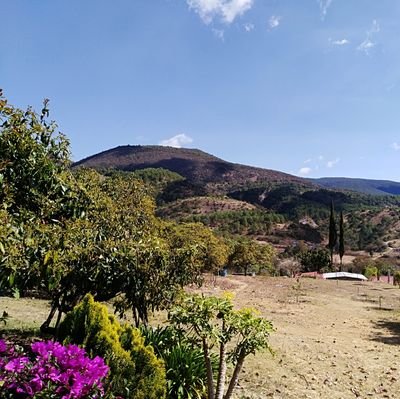 Oaxaqueño, padre de dos hermosos niños, pumas, licenciado en turismo