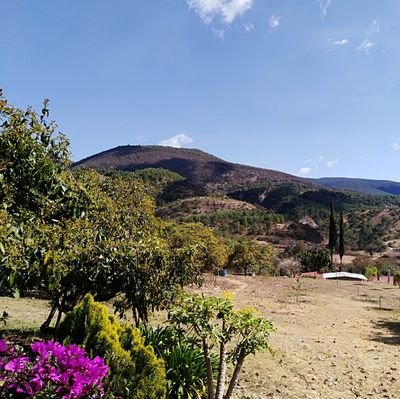 Oaxaqueño, padre de dos  hermosos niños, pumas, licenciado en turismo