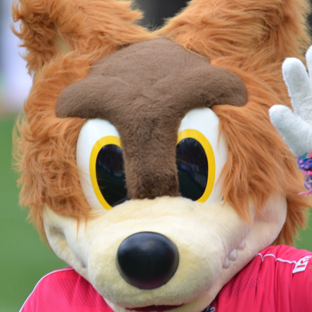 xoxo_crz's profile picture. 🌸とか✈️とか📷とか