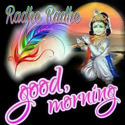 Shubham87006558's profile picture. र