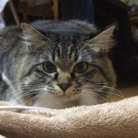 たけっぽ (@3f40e36d09704bf) 's Twitter Profile