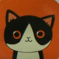 Txdcat164😺 (@hkexz_txdcat) 's Twitter Profile