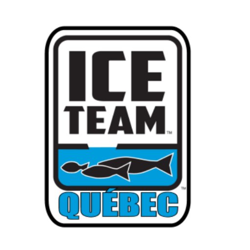 QuebecIceTeam's profile picture. 
