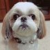 餓狼 (@garou0301) Twitter profile photo 餓狼 (@garou0301) Twitter profile photo