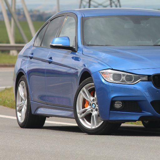 terabitsru's profile picture. 😋