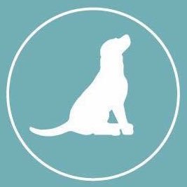 E5 Dog Photography by Virginie Petorin, founder of Dog Pop Up , offering contemporary dog portraits #DogPopArt 🇫🇷🇬🇧