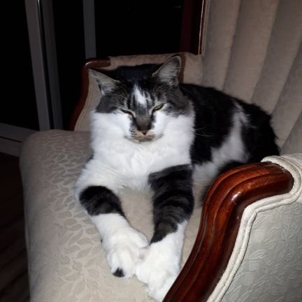 holmw's profile picture. 