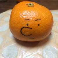 🍊落書きみかんのへっぽこ写真🍊(@rakugakimikan) 's Twitter Profile Photo