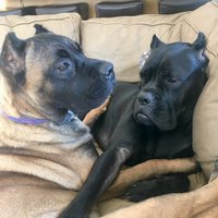 laurieHarvey (@laurieh70219302) 's Twitter Profile