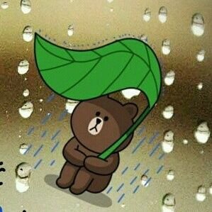 자연을 벗삼기! 반짝반짝 빛나는 삶~^^ 😇맞팔99.9% 🐯동물 ⌛일상 🐯맞팔관리함