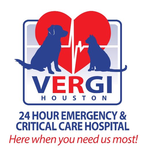 Vergi 24/7 is an award-winning animal emergency and critical care hospital, open 24 hours/day.
