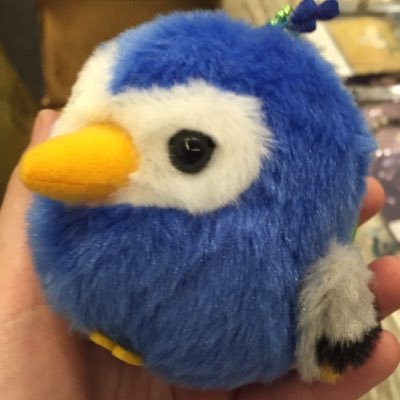 NuinSD's profile picture. 