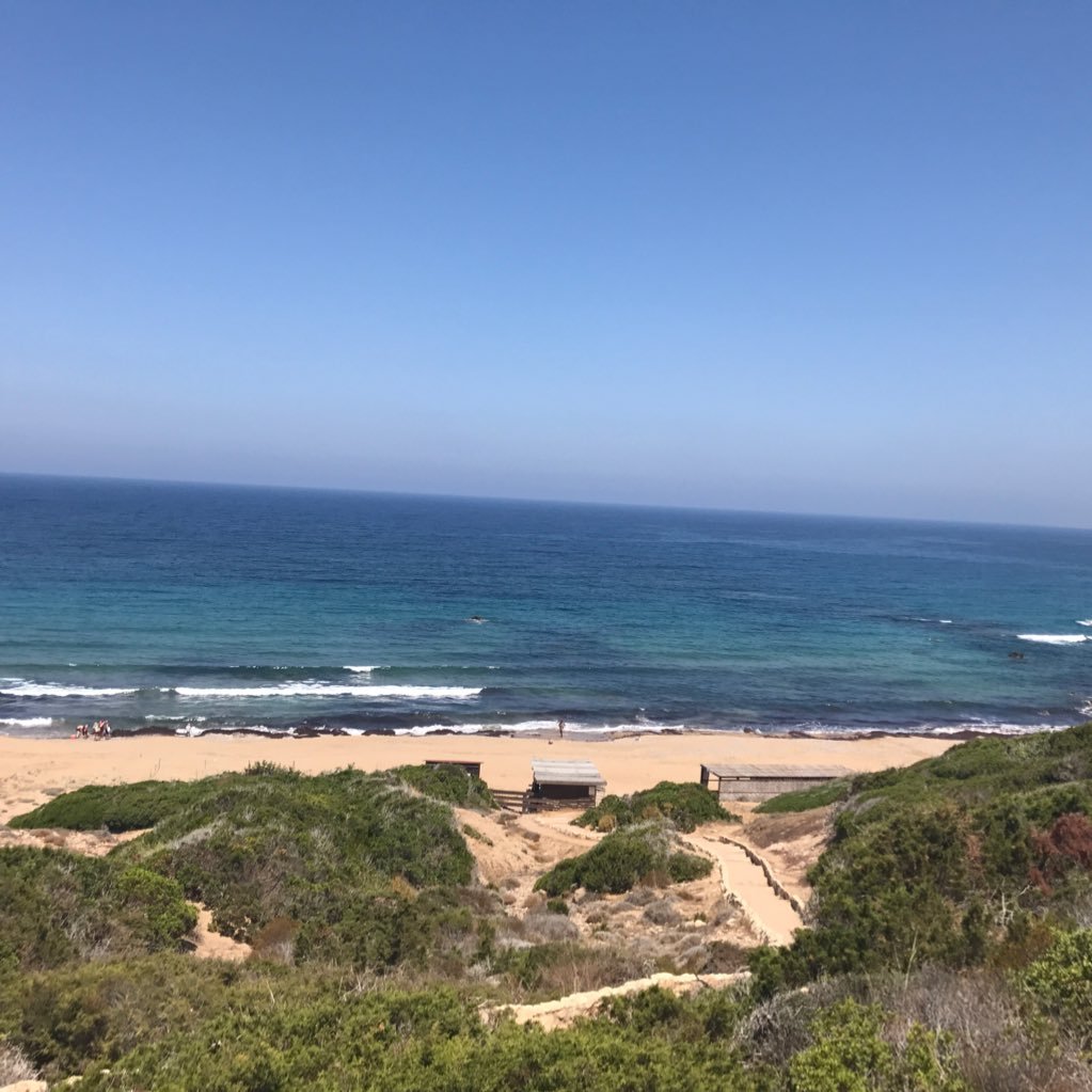 david_ensor's profile picture. Birmingham